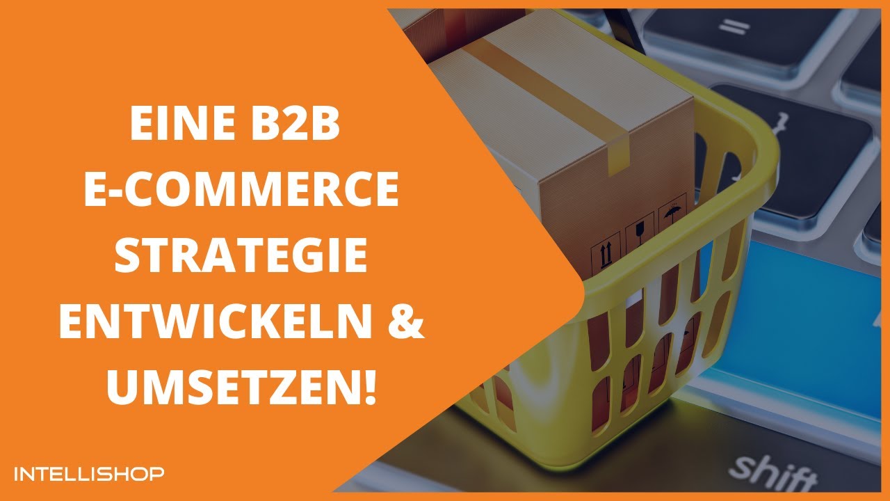 Eine erfolgreiche B2B E-Commerce Strategie entwickeln und umsetzen!