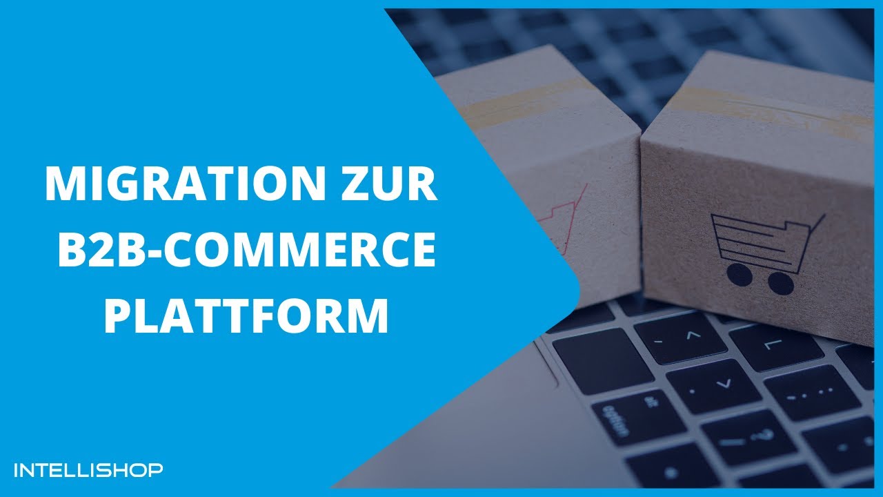 IntelliShop Plug'n'Play - Migration zur B2B-Commerce Plattform