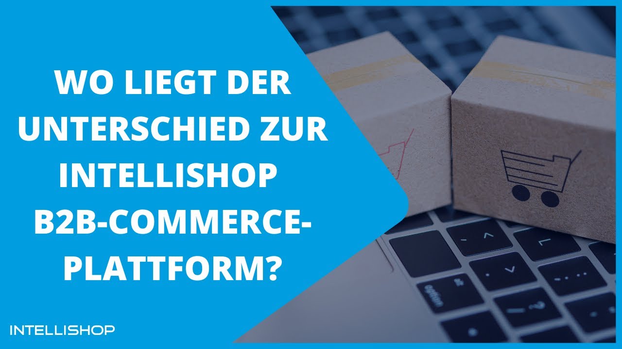 IntelliShop Plug'n'Play -  Unterschiede zur vollen IntelliShop B2B-Commerce-Plattform