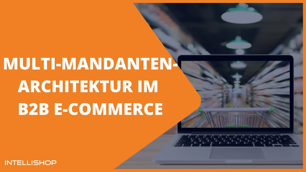 Multi-Mandanten-Architektur im B2B E-Commerce