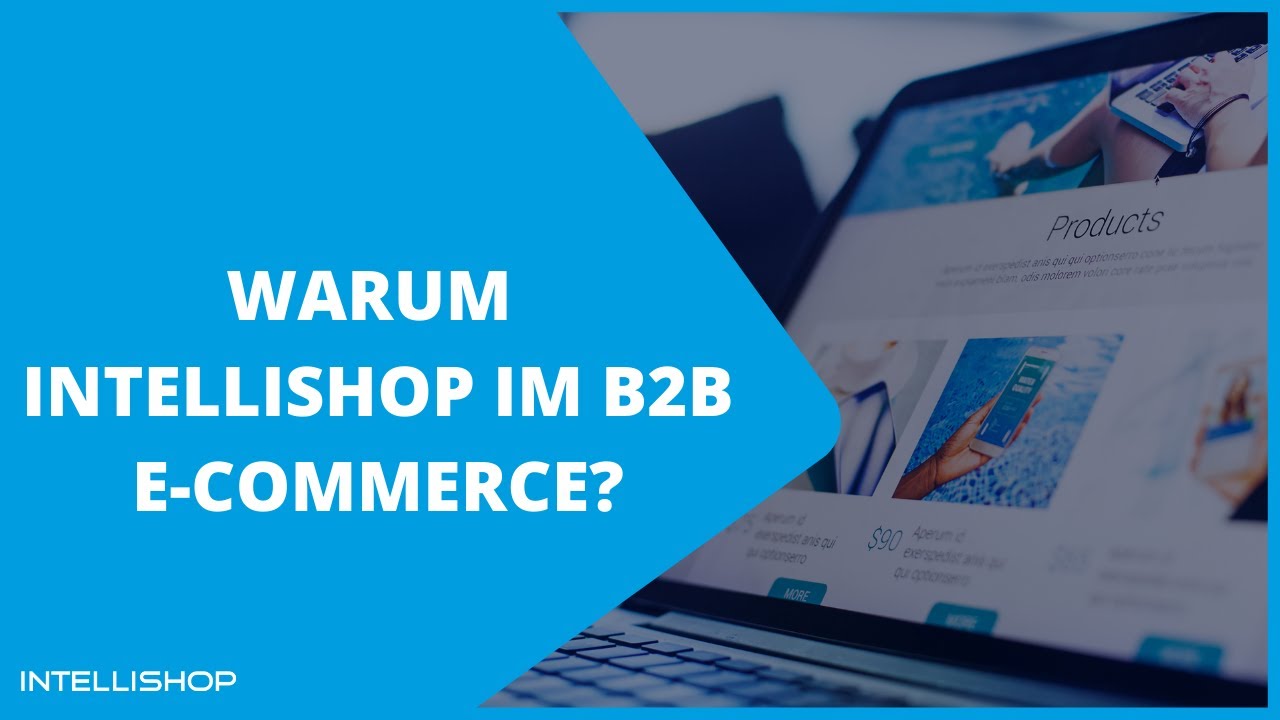 Warum IntelliShop im B2B E-Commerce?